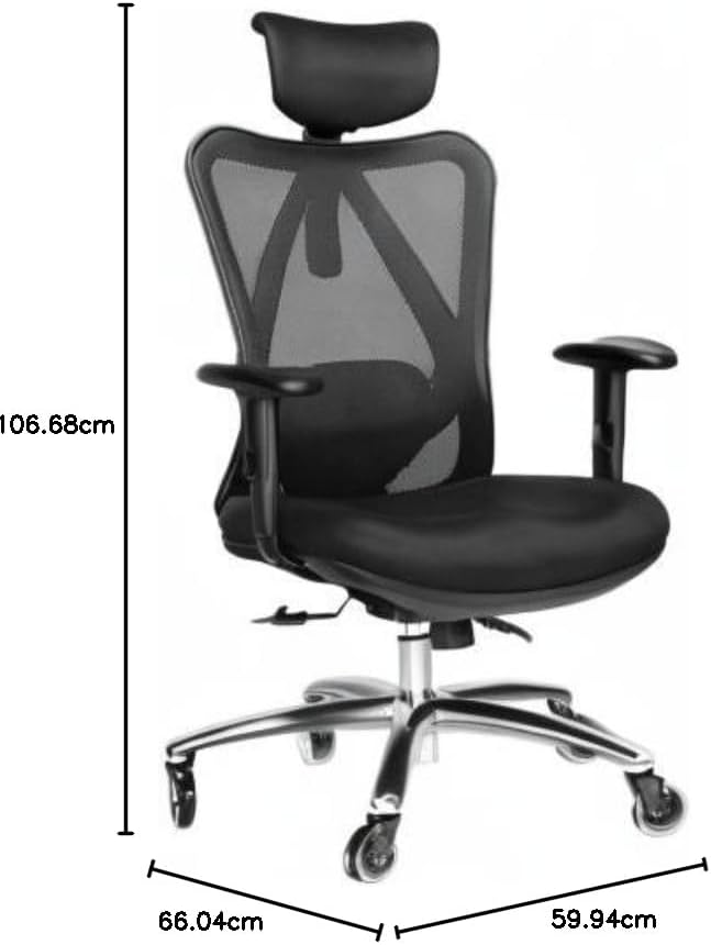 Duramont Ergonomic Office Chair